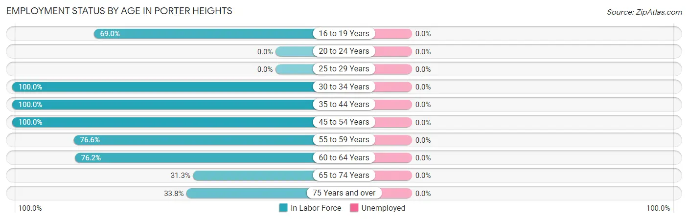 Employment Status by Age in Porter Heights