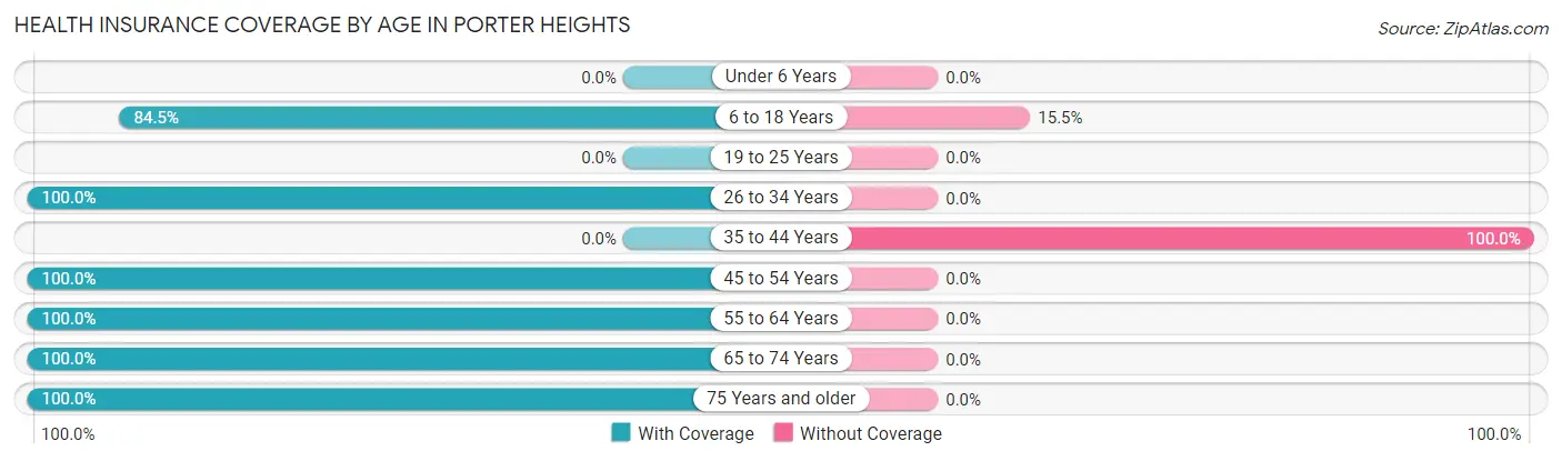 Health Insurance Coverage by Age in Porter Heights