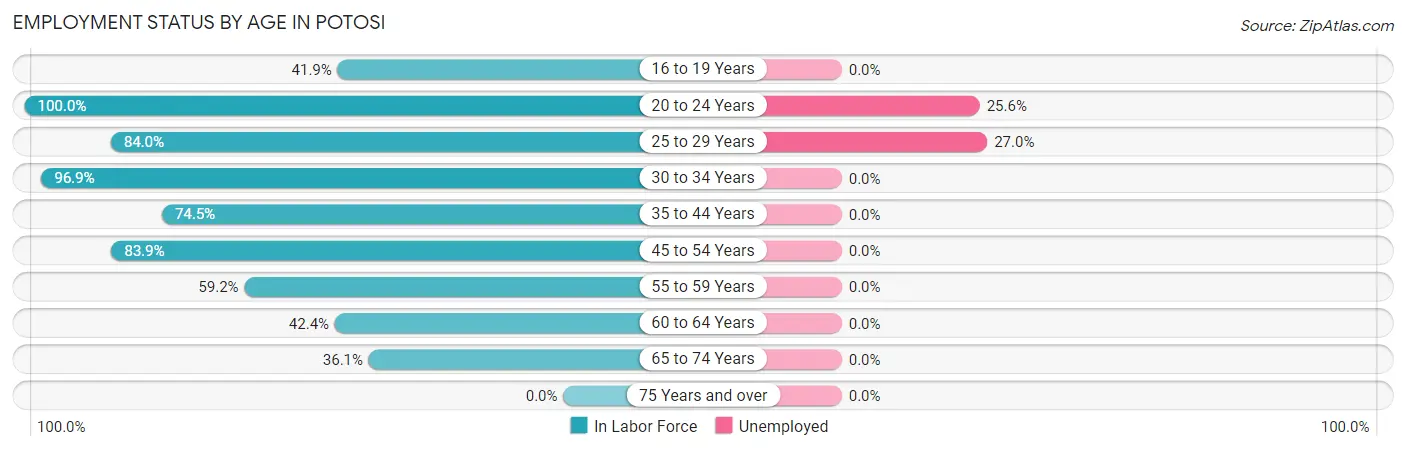 Employment Status by Age in Potosi