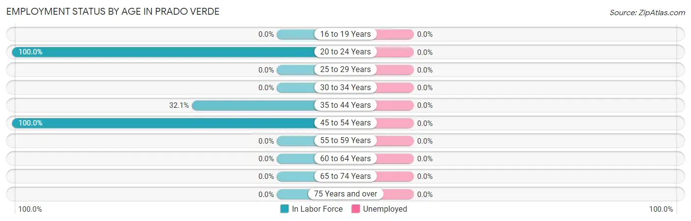 Employment Status by Age in Prado Verde