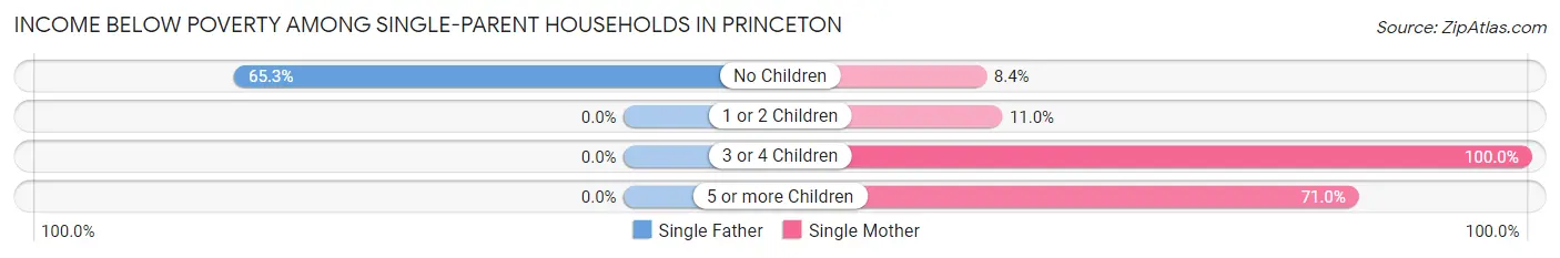 Income Below Poverty Among Single-Parent Households in Princeton