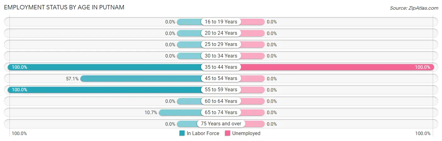 Employment Status by Age in Putnam