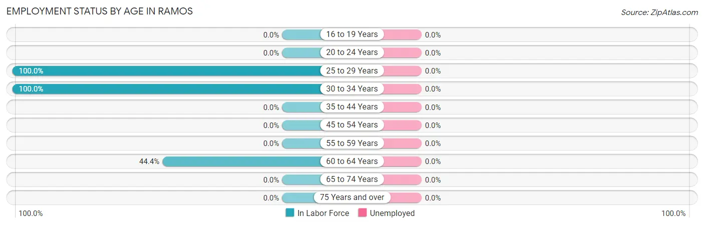 Employment Status by Age in Ramos