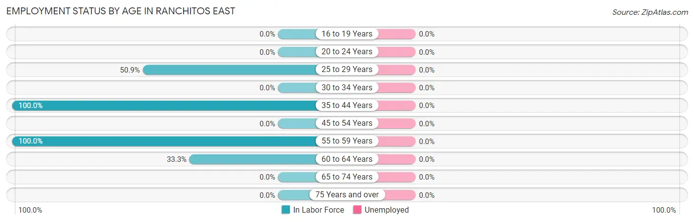 Employment Status by Age in Ranchitos East