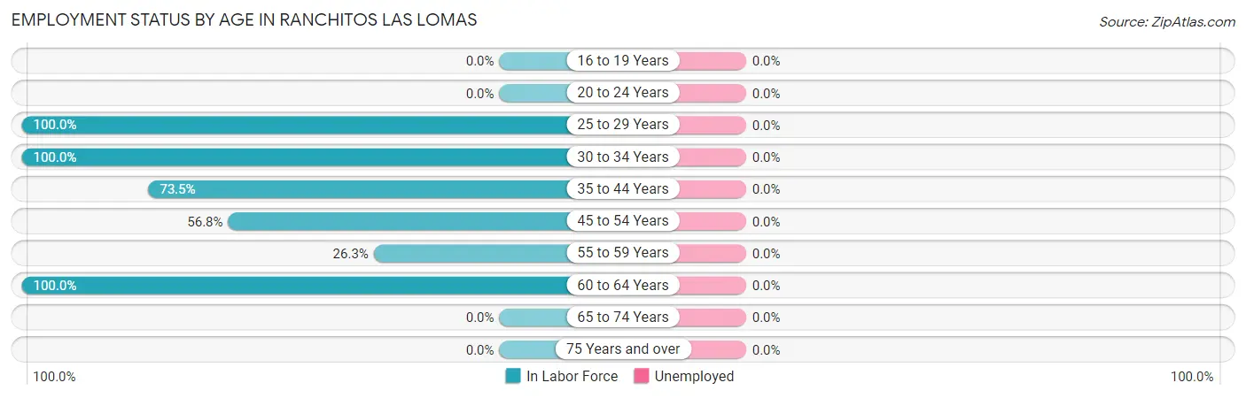 Employment Status by Age in Ranchitos Las Lomas