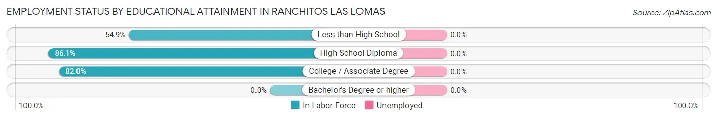 Employment Status by Educational Attainment in Ranchitos Las Lomas