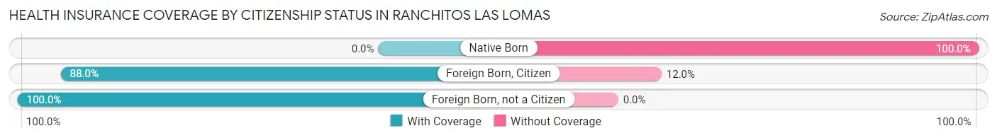 Health Insurance Coverage by Citizenship Status in Ranchitos Las Lomas