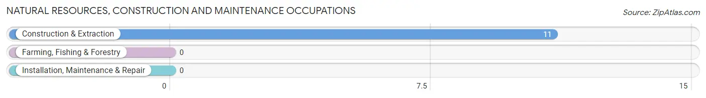 Natural Resources, Construction and Maintenance Occupations in Ranchitos Las Lomas