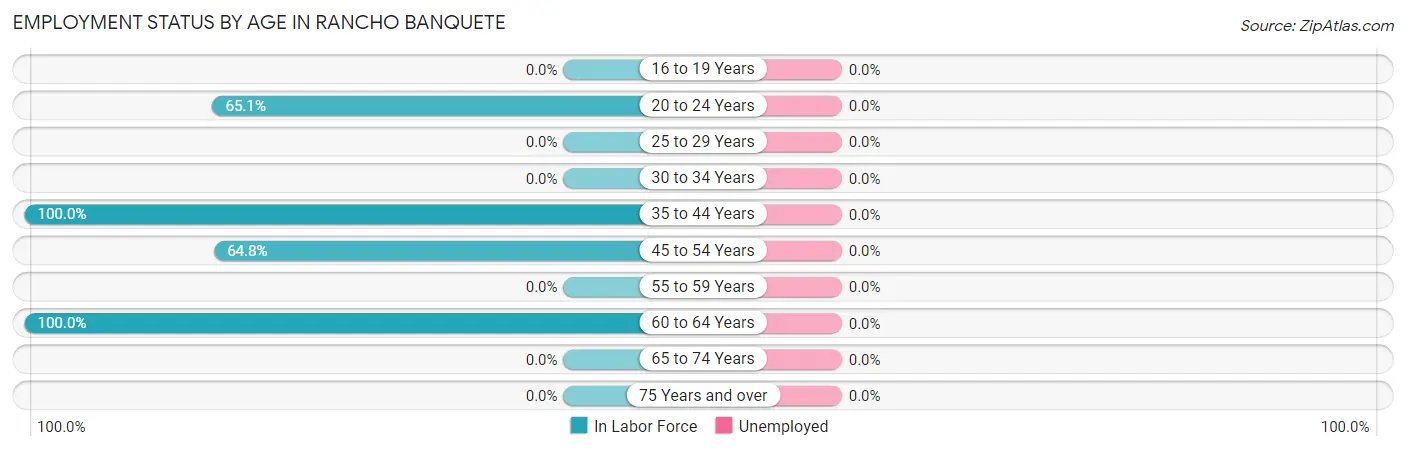Employment Status by Age in Rancho Banquete