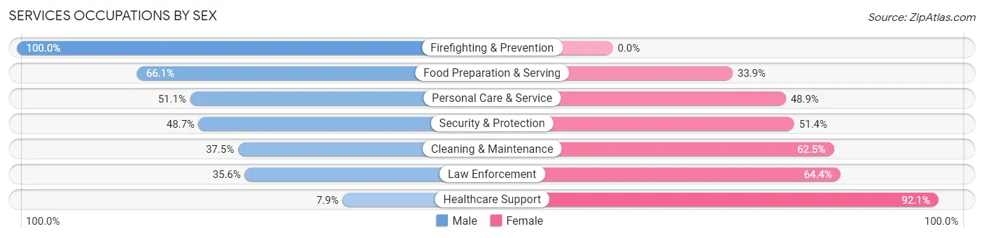 Services Occupations by Sex in Raymondville