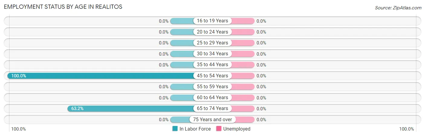 Employment Status by Age in Realitos