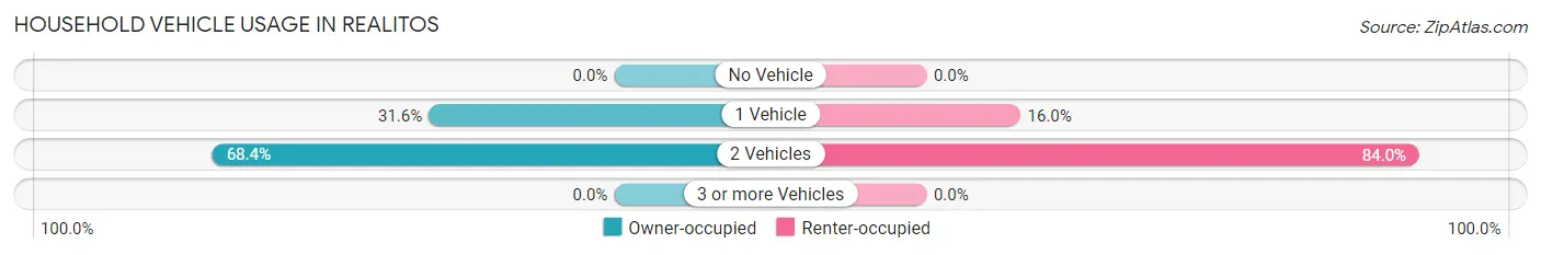 Household Vehicle Usage in Realitos