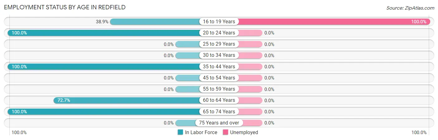 Employment Status by Age in Redfield