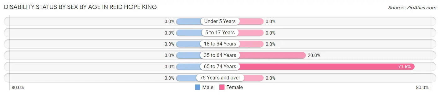 Disability Status by Sex by Age in Reid Hope King