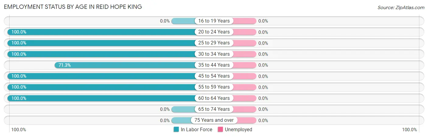 Employment Status by Age in Reid Hope King