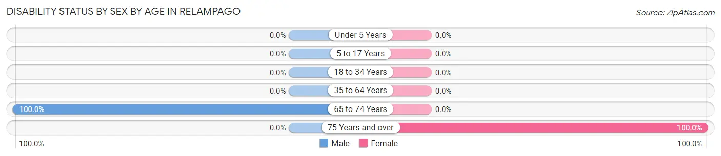 Disability Status by Sex by Age in Relampago