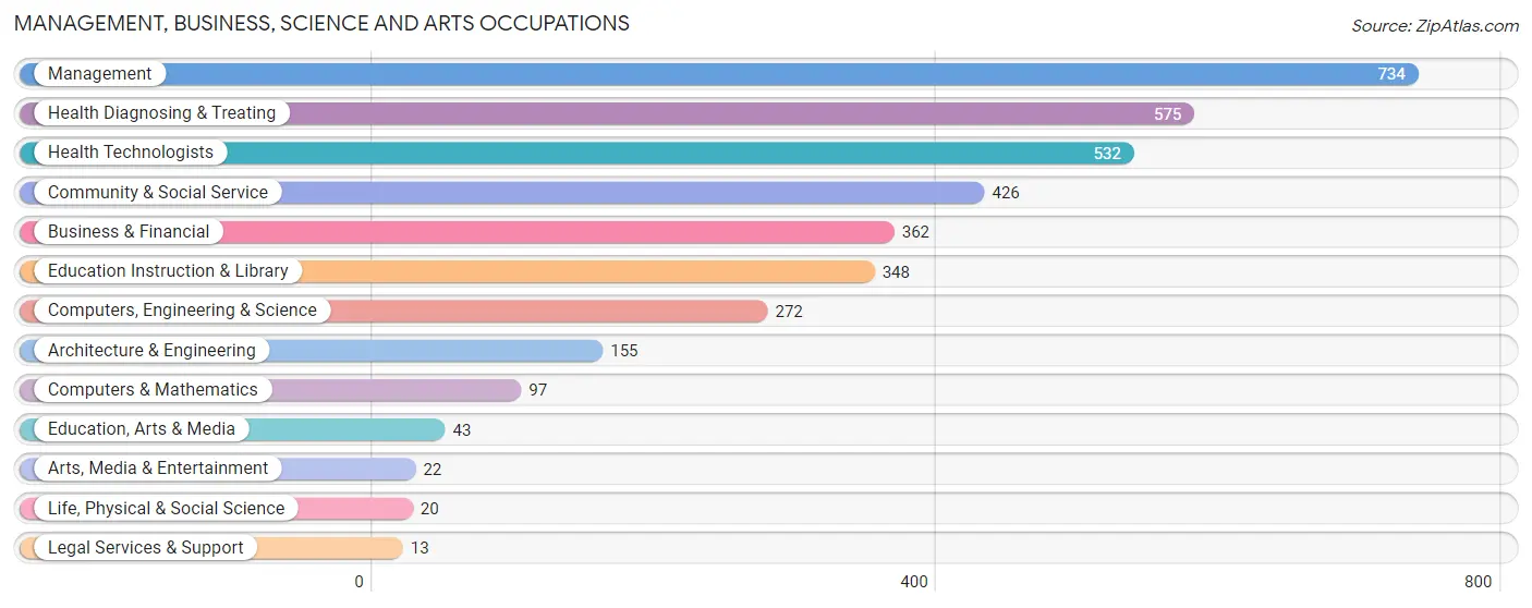 Management, Business, Science and Arts Occupations in Rendon