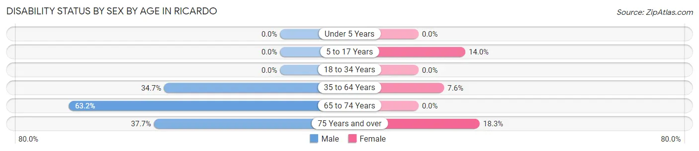 Disability Status by Sex by Age in Ricardo
