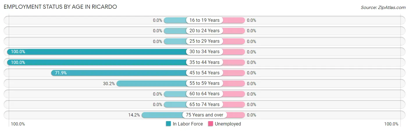 Employment Status by Age in Ricardo