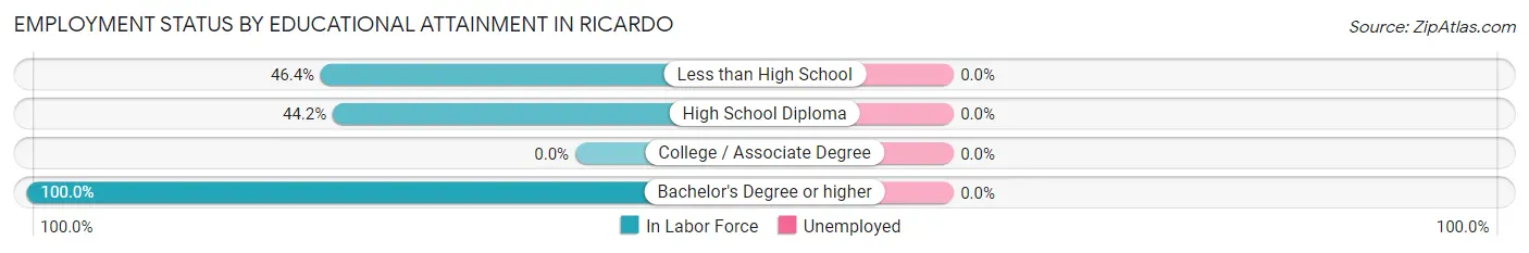 Employment Status by Educational Attainment in Ricardo