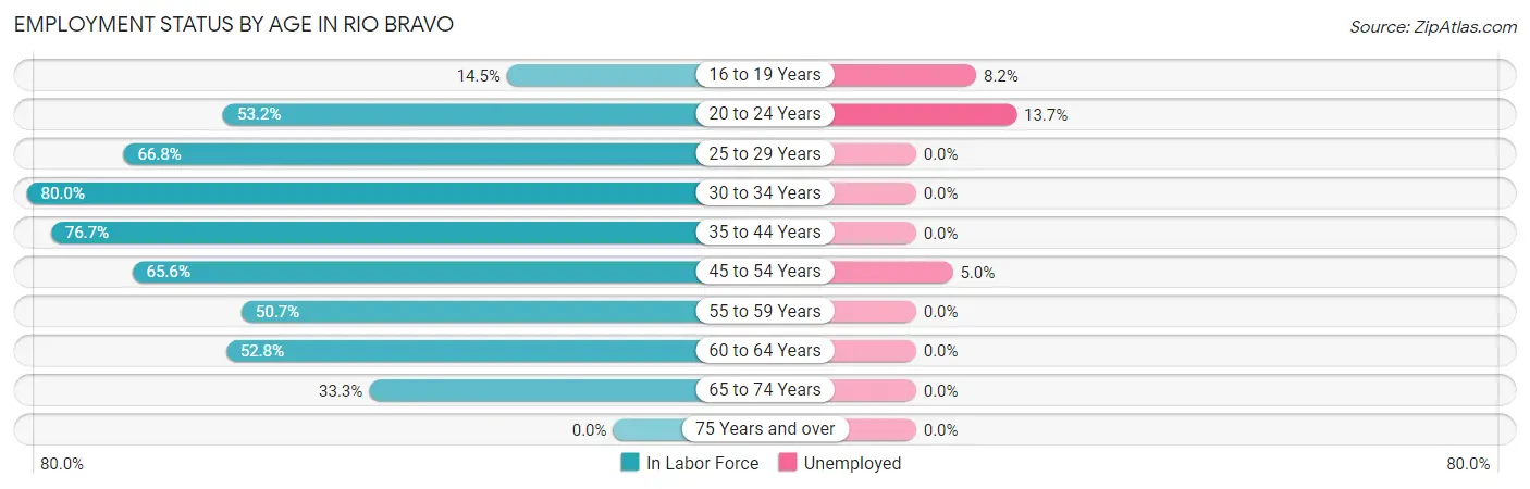 Employment Status by Age in Rio Bravo