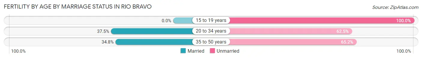 Female Fertility by Age by Marriage Status in Rio Bravo