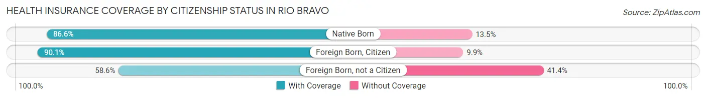 Health Insurance Coverage by Citizenship Status in Rio Bravo