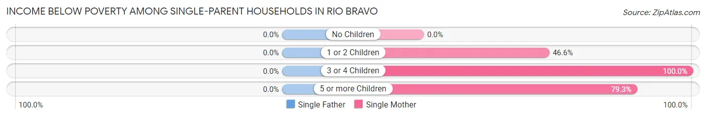 Income Below Poverty Among Single-Parent Households in Rio Bravo