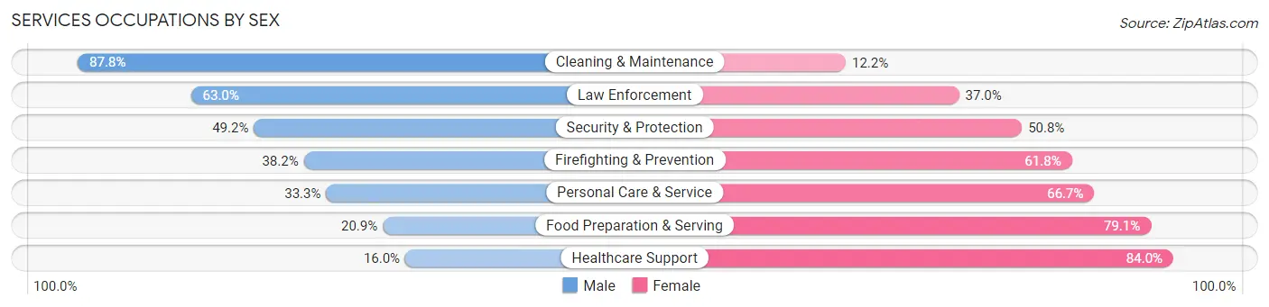 Services Occupations by Sex in Rio Bravo