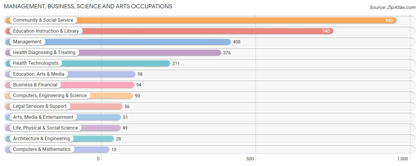 Management, Business, Science and Arts Occupations in Rio Grande City