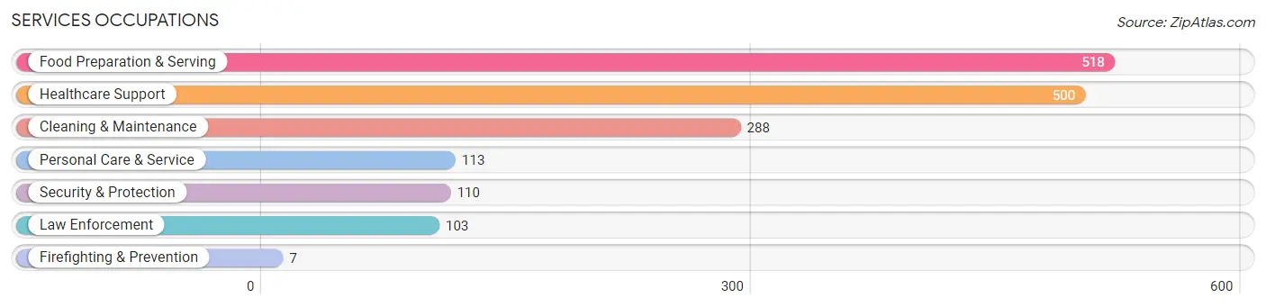 Services Occupations in Rio Grande City