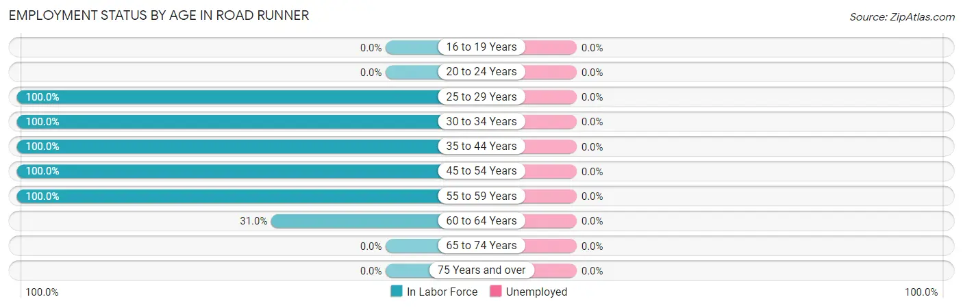 Employment Status by Age in Road Runner
