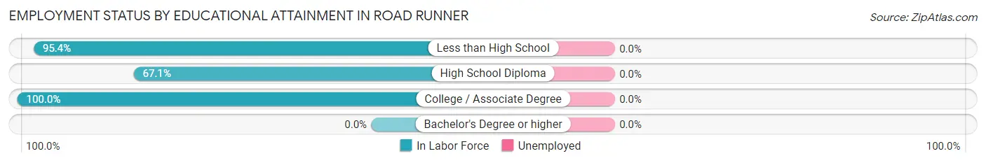 Employment Status by Educational Attainment in Road Runner