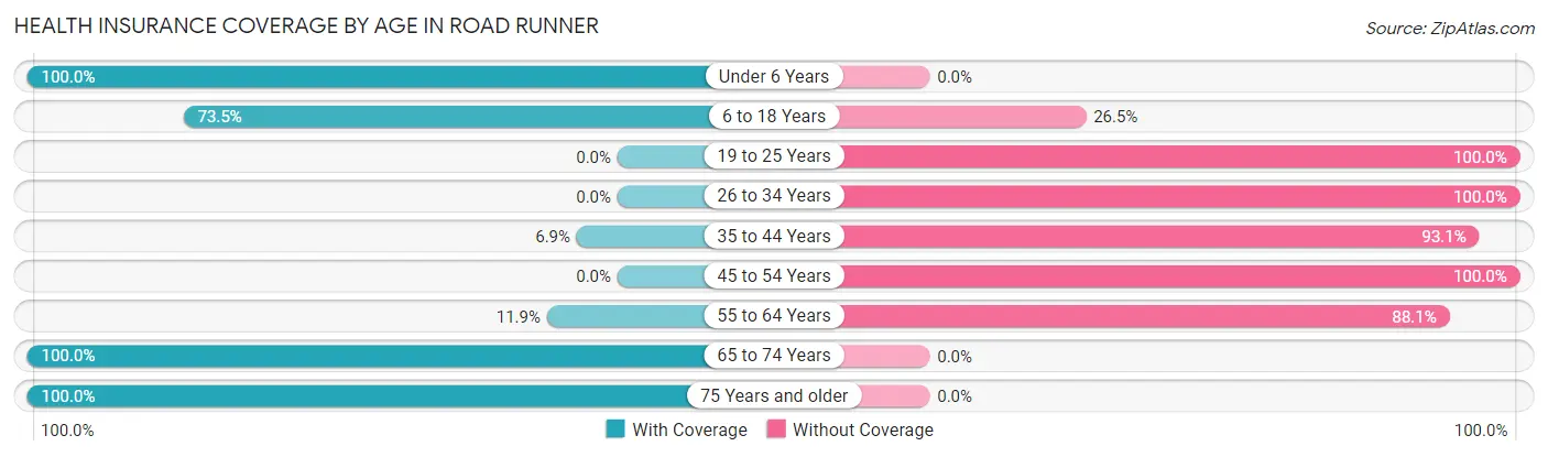 Health Insurance Coverage by Age in Road Runner