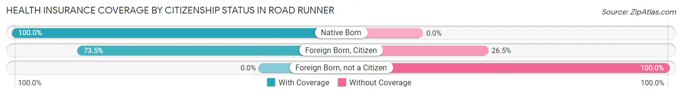 Health Insurance Coverage by Citizenship Status in Road Runner