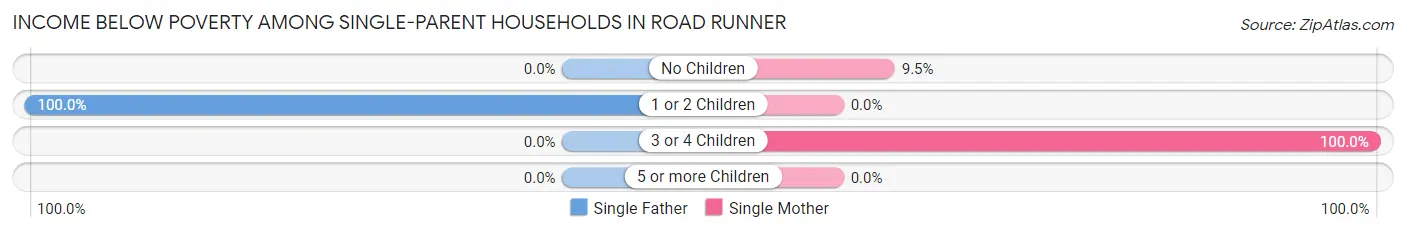 Income Below Poverty Among Single-Parent Households in Road Runner