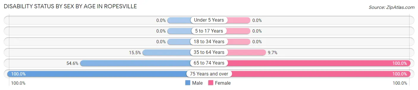 Disability Status by Sex by Age in Ropesville