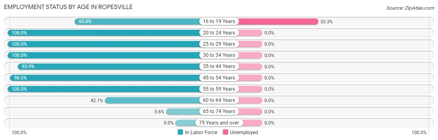 Employment Status by Age in Ropesville