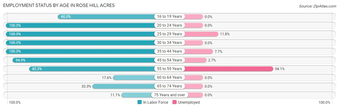 Employment Status by Age in Rose Hill Acres