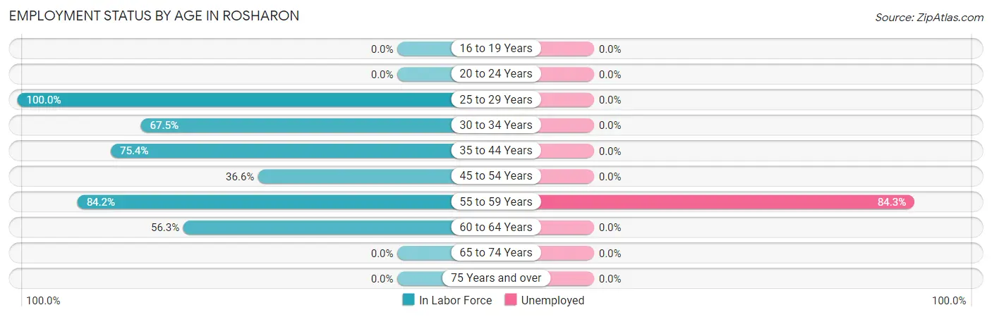 Employment Status by Age in Rosharon