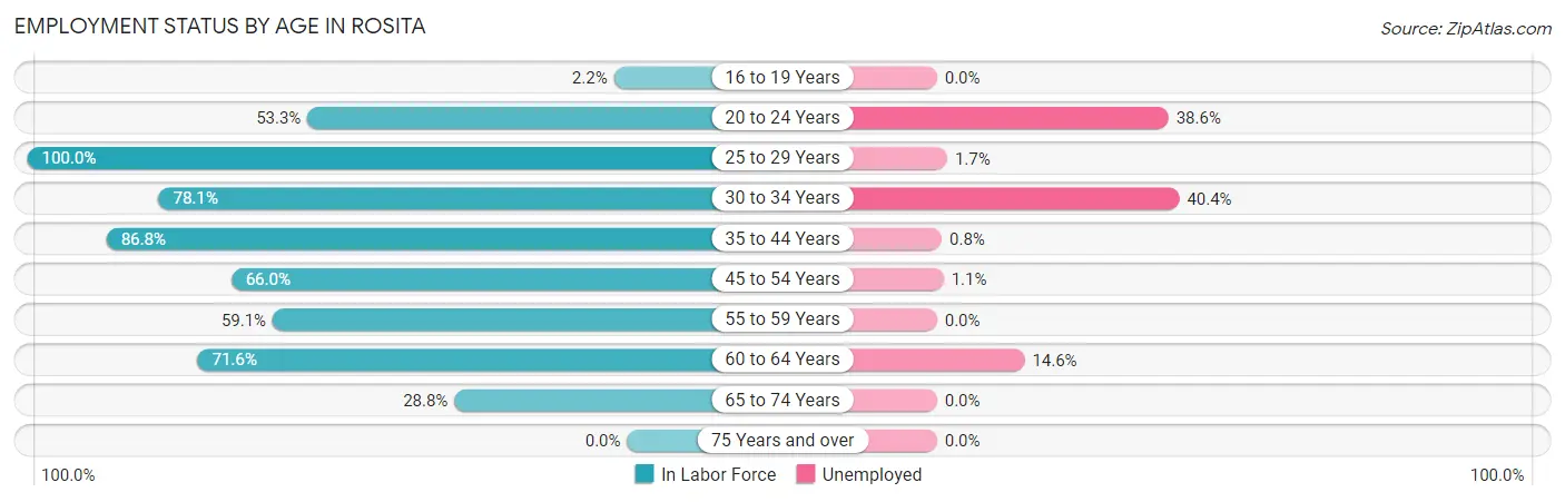 Employment Status by Age in Rosita