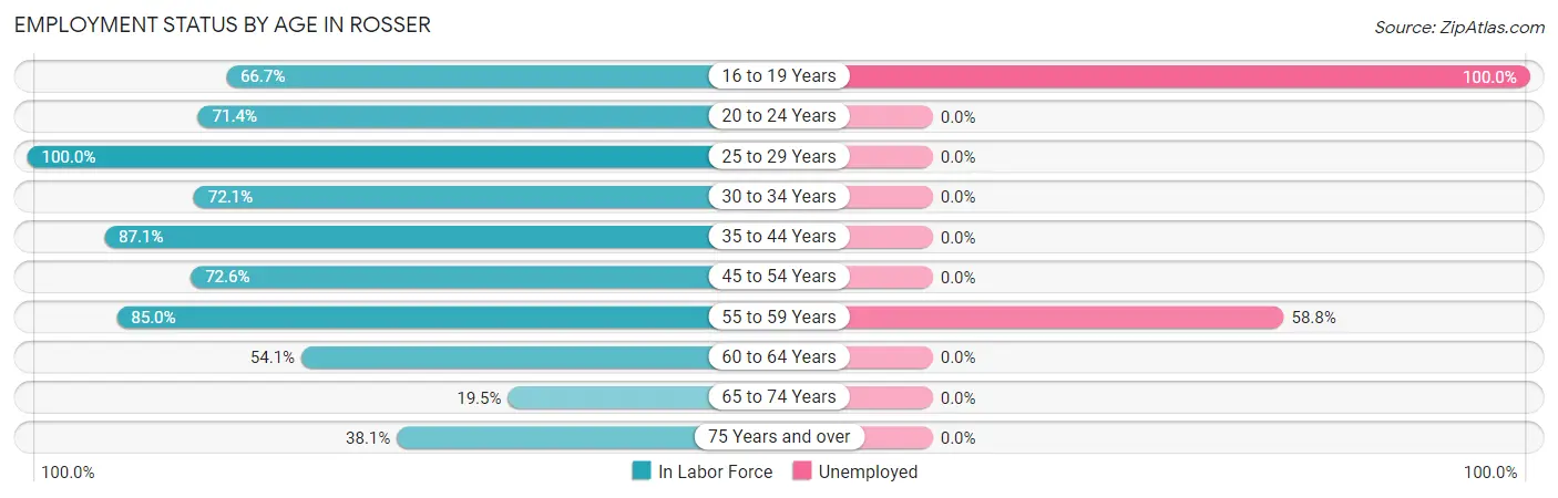 Employment Status by Age in Rosser