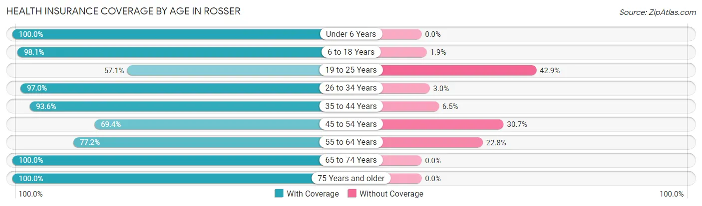 Health Insurance Coverage by Age in Rosser