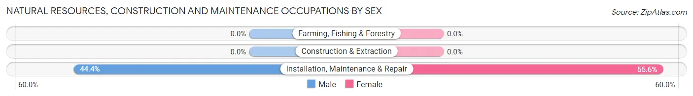 Natural Resources, Construction and Maintenance Occupations by Sex in Rosser