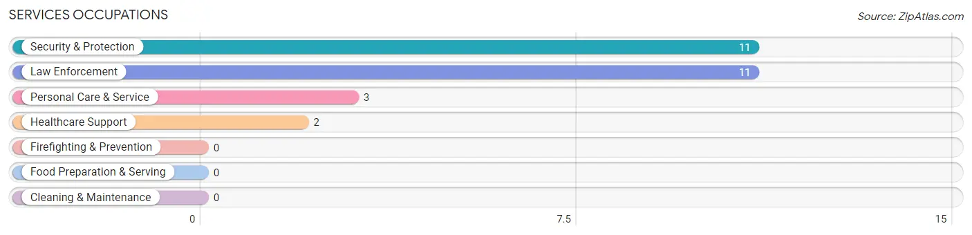 Services Occupations in Round Top