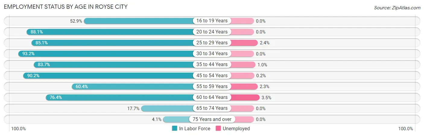 Employment Status by Age in Royse City