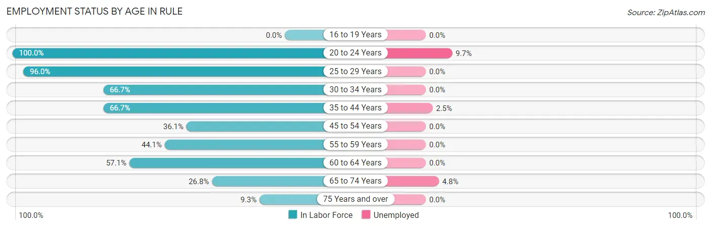 Employment Status by Age in Rule