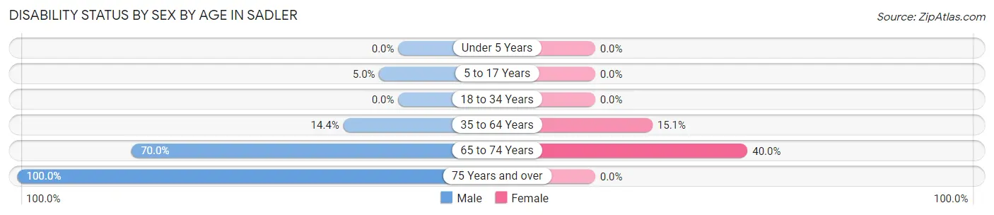 Disability Status by Sex by Age in Sadler