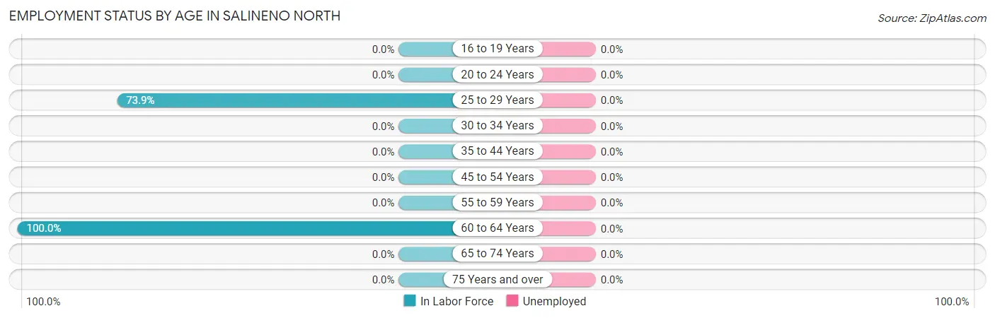 Employment Status by Age in Salineno North