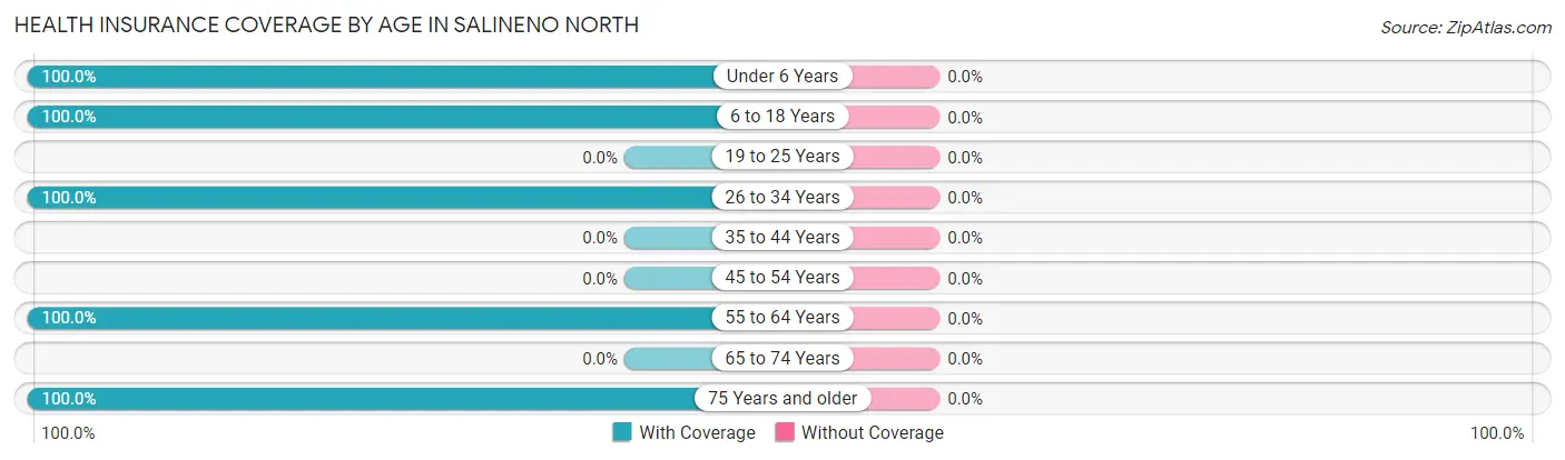 Health Insurance Coverage by Age in Salineno North